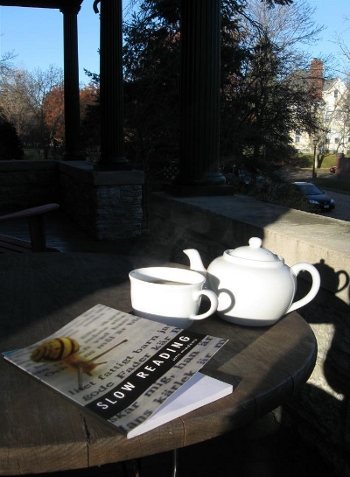 Picture of the book 'Slow Reading'