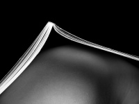 Galeriebild 10