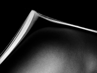 Galeriebild 11