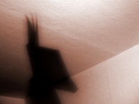 Galeriebild 5