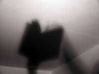 Galeriebild 6