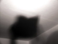 Galeriebild 7