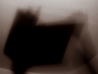 Galeriebild 8